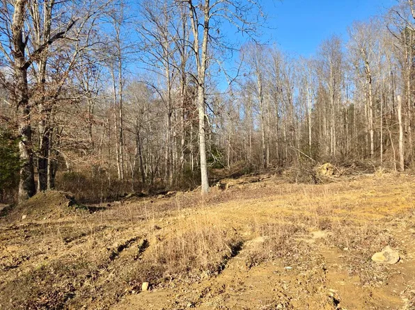 9999 Dorothy Bailey Rd, London, KY 40744