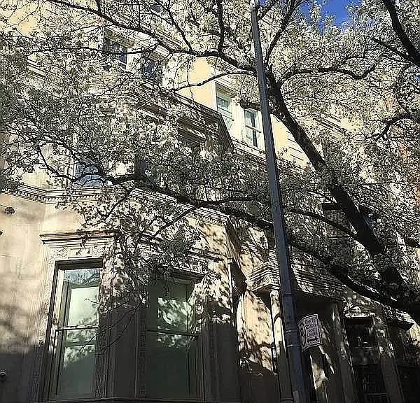 23 W 76th St #4C — Photo 9