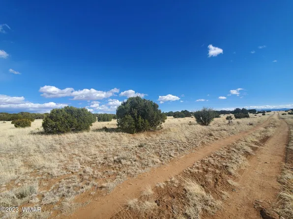 8 County Road 5203, Concho, AZ 85924