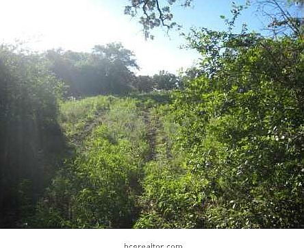 3rd image of 0 White Tail Trl