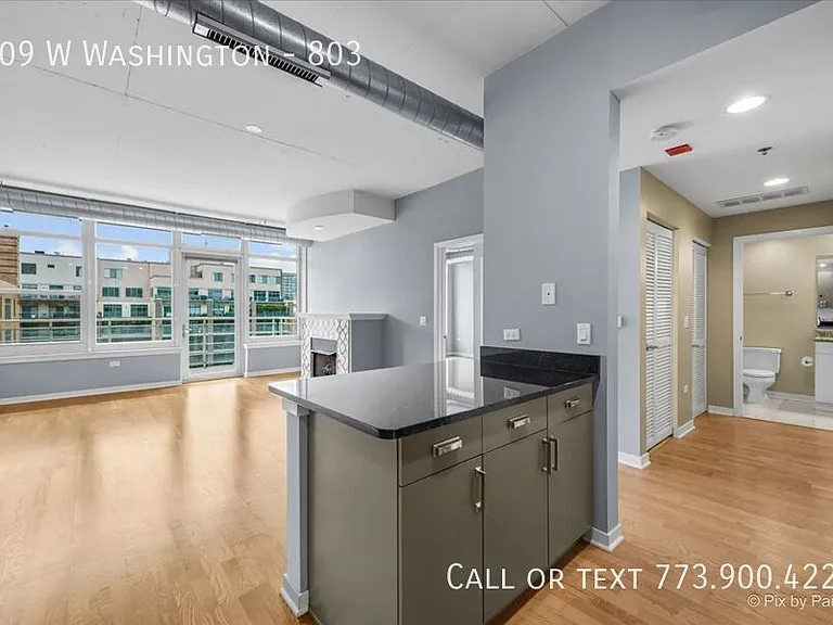 909 W Washington #803 — Photo 7