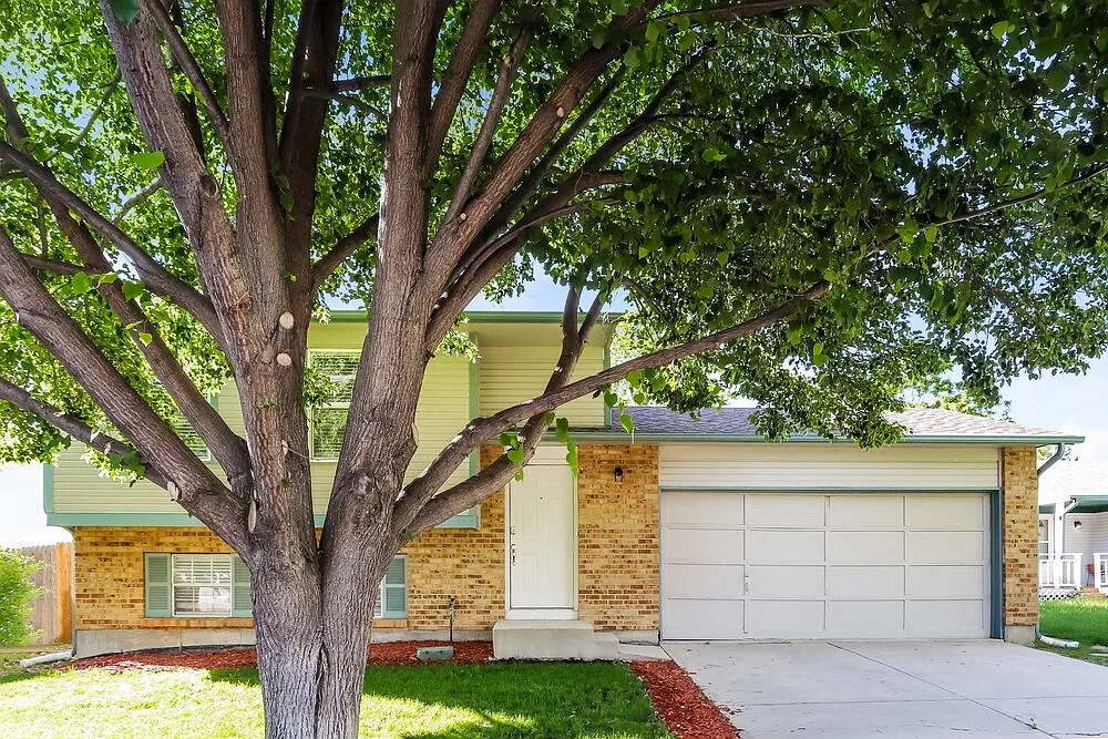 4 bed, 2.0 bath, 1682 sqft, $3,080 — Photo 2