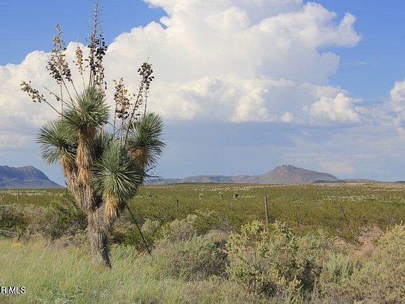 4th image of 75 Tsp Sec 11 Sunset Rnch #5-54