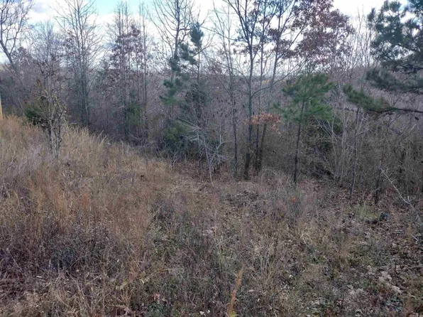 5 Sunnyland Rd, Mountain View, AR 72560