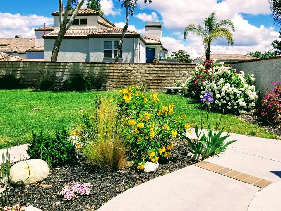 Front yard (corner lot)