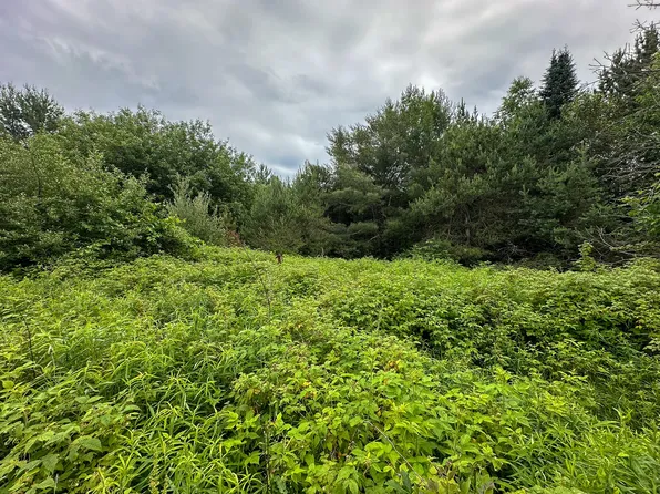 40 N Everett Rd, Roscommon, MI 48653