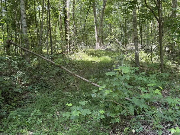 0 Wilderness Ln, Lafayette, TN 37083