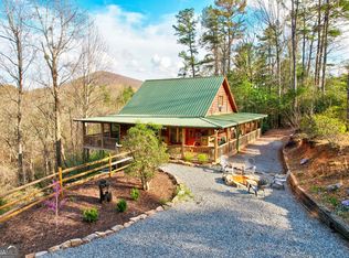 91 Mountain View Dr, Cherry Log, GA 30522