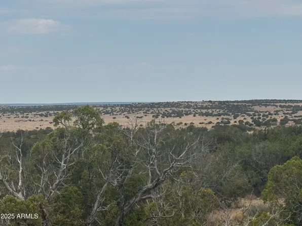 Lot 99 Carrizo Ranch -- #99, St Johns, AZ 85936