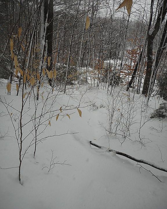 2nd image of 00 Ralph Rd
