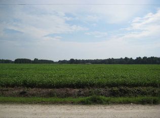 0 Narrow Paved Rd, Lynchburg, SC 29080