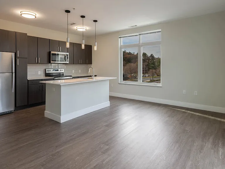 Living Room with Hard Surface Flooring