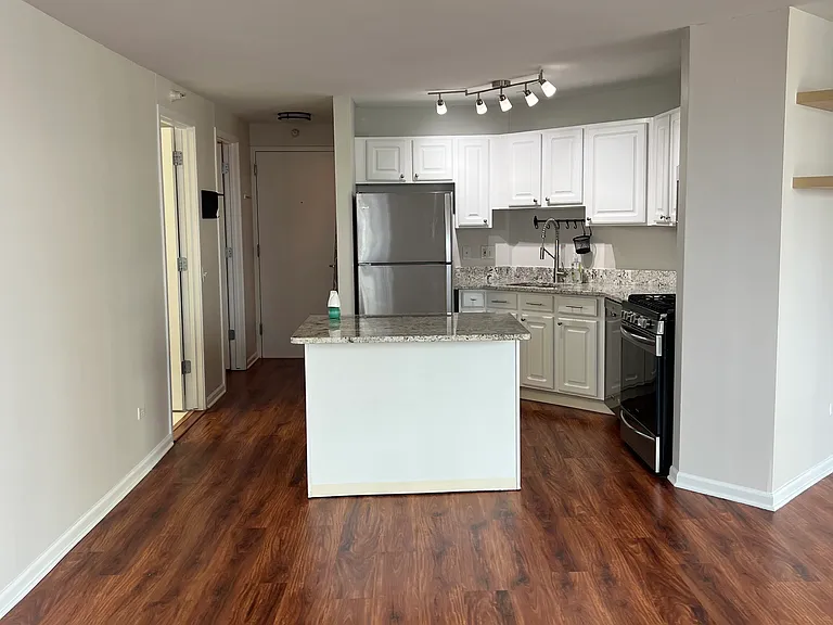 545 N Dearborn St #2404 — Photo 2