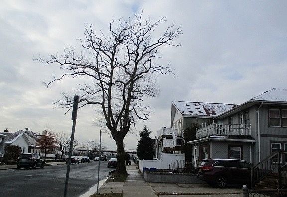 Exterior Neighborhood (street photo)