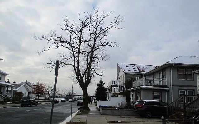 Exterior Neighborhood (street photo)