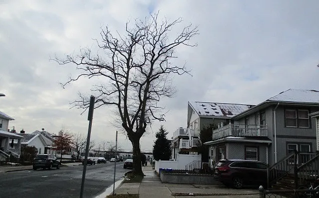 Exterior Neighborhood (street photo)