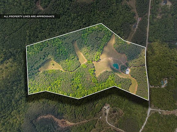 4th image of 635 Seven Mile Ridge Rd