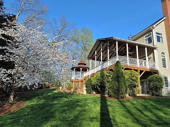 Cherry Tree in Bloom !