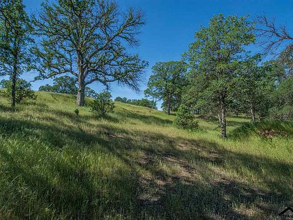 5th image of 16715 Robin Hood Ln