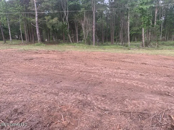8 Old Gravel 49, Mendenhall, MS 39114