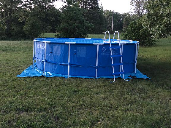 Huge back yard. past trees