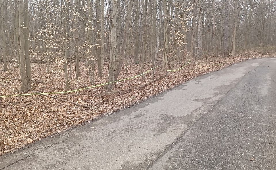 2nd image of Idylwild Ave
