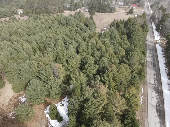 E West Resort Rd, Alanson, MI 49706
