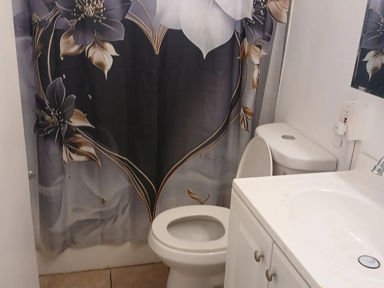2 bed, 1100 sqft, $1,186 — Photo 2
