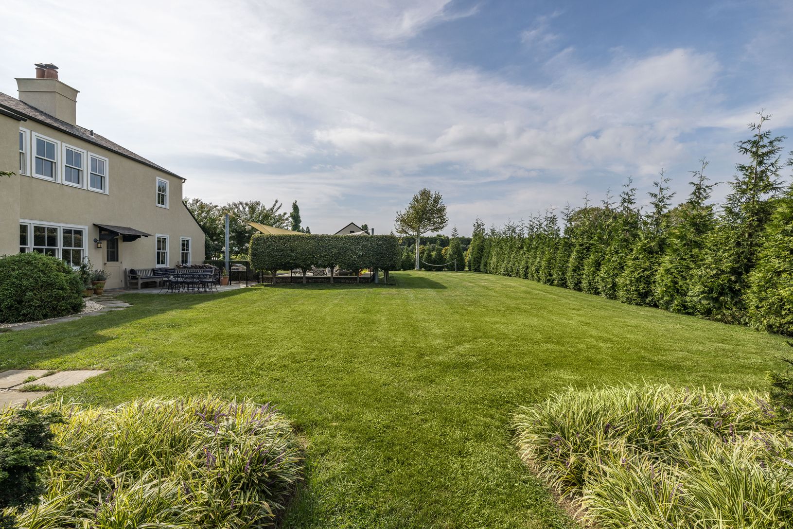  Ample lawn