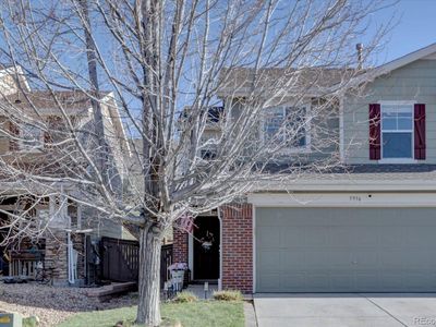 5936 Turnstone Place, Castle Rock, CO, 80104