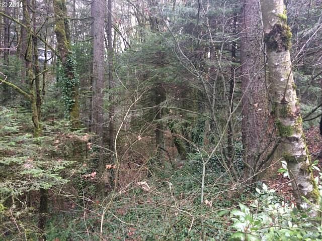2nd image of 0 SW Skyline Blvd