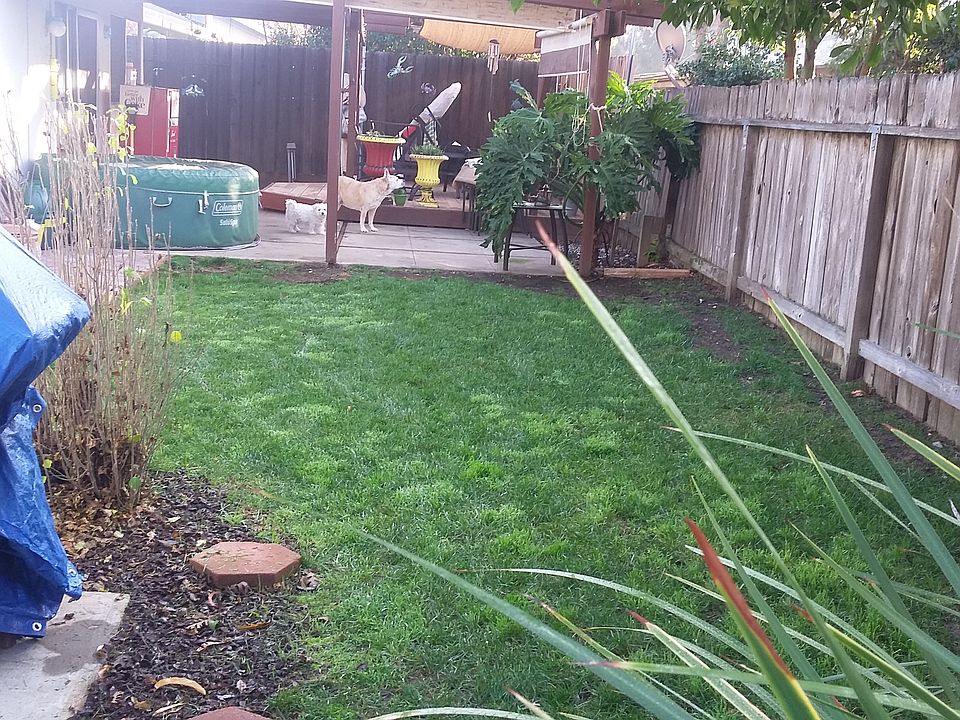 backyard/patio/pergola/deck