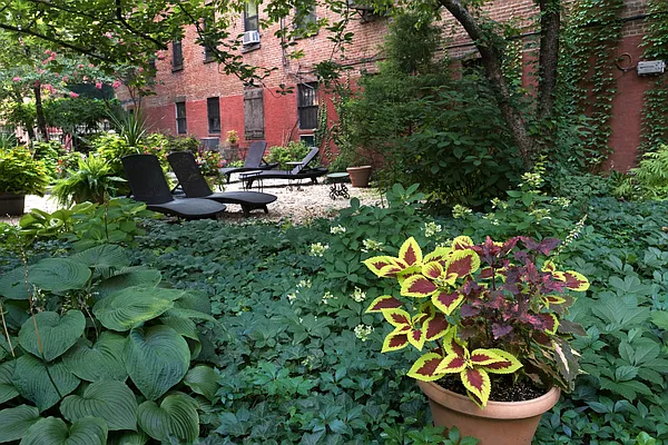 Sold by Douglas Elliman | media 22