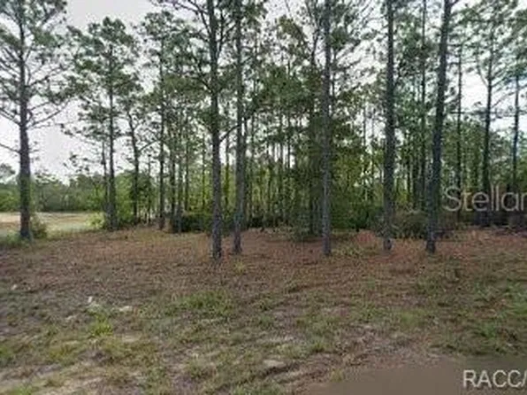 10599 N CALDERA AVENUE LOT 1, CITRUS SPRINGS, FL 34433