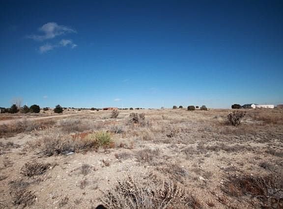 5th image of 293 E Amache Ln