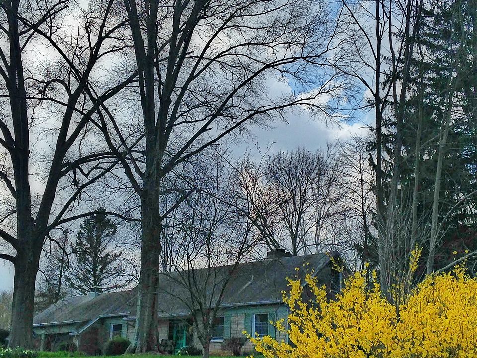 Spring on Browncliff
