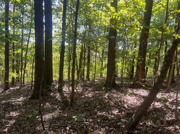 Highway 69 LOT WP002, Centertown, KY 42328