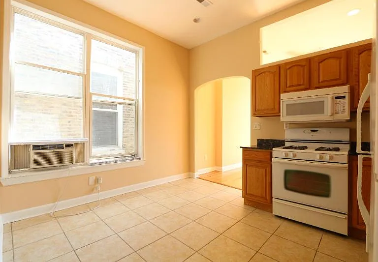 817 S Laflin St #2F — Photo 10