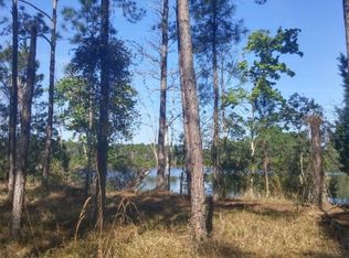 1 Kaffir Lily Pl, Palm Coast, FL 32164