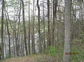3rd image of 0 Lake Pointe Dr