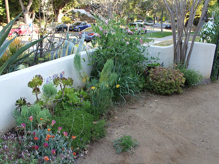 Front walled garden in spring