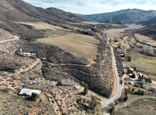 1541 Woody Creek Rd, Woody Creek, CO 81656