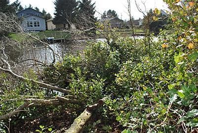 4th image of 614 Olallie Cir SE
