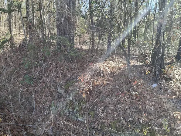 803 Sand Ave, Henderson, TX 75652