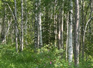 Nhn Elliott Hwy, Fairbanks, AK 99712