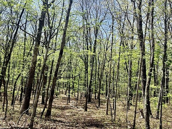 4th image of 0 Timberwood Trce Lot 325 & 326