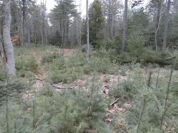 Lot # 8 Cranberry Way, Bowdoinham, ME 04008