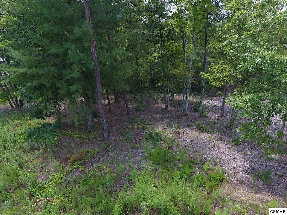 1st image of 10 Mountain Ash Way Lot 10
