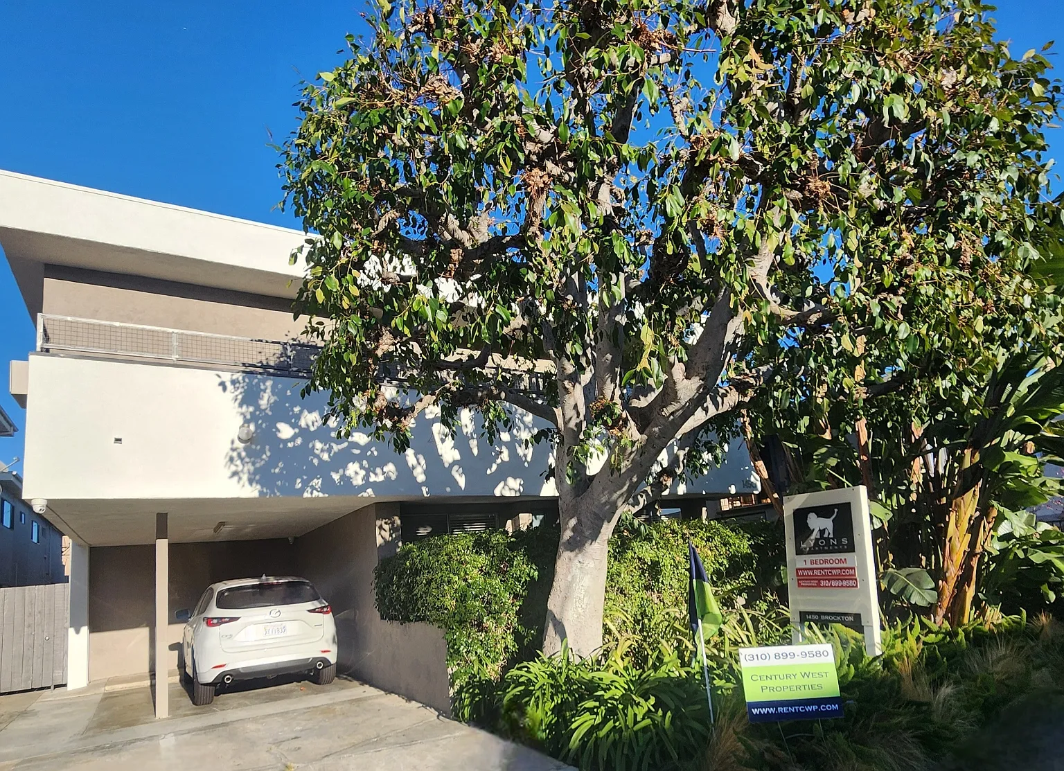 1 bed, 1.0 bath, $2,295 — Photo 1