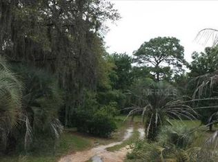 17565 Davenport Rd, Winter Garden, FL 34787